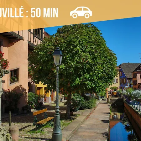 Immersion Bord De - La Paillote Strasbourgeoise - Ciel Etoile - Videoprojecteur - Parking Gratuit アパート