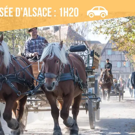 La Paillote Strasbourgeoise - Ciel étoilé - Bord De - Parking Gratuit - Vidéoprojecteur - Lit Rond
