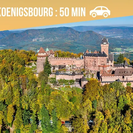 Immersion Bord De - La Paillote Strasbourgeoise - Ciel Etoile - Videoprojecteur - Parking Gratuit Διαμέρισμα Στρασβούργο