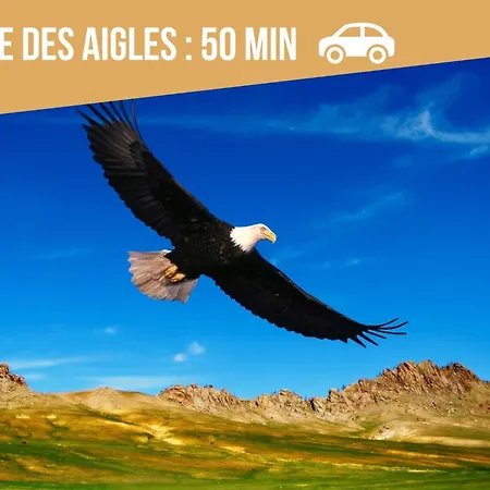 La Paillote Strasbourgeoise - Ciel étoilé - Bord De - Parking Gratuit - Vidéoprojecteur - Lit Rond *