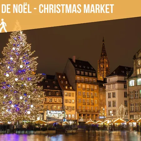 아파트 Immersion Bord De - La Paillote Strasbourgeoise - Ciel Etoile - Videoprojecteur - Parking Gratuit 스트라스부르