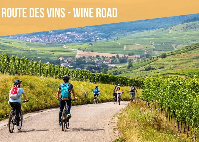 Cathyvoyages - Ciel Etoile - Bord De - Parking Gratuit - Videoprojecteur - Lit Rond - La Paillote Strasbourgeoise *