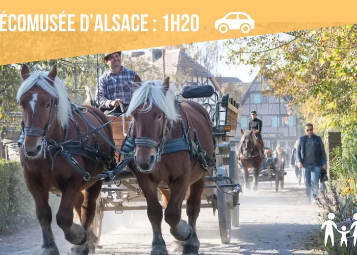 Cathyvoyages - Ciel Etoile - Bord De - Parking Gratuit - Videoprojecteur - Lit Rond - La Paillote Strasbourgeoise