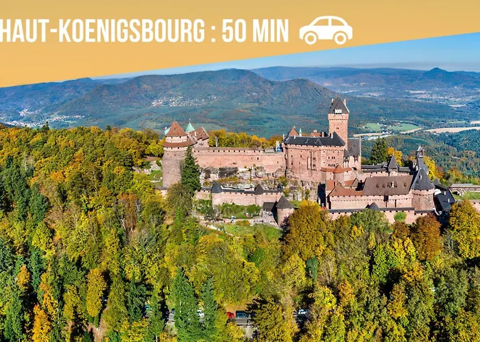 Cathyvoyages - Ciel Etoile - Bord De - Parking Gratuit - Videoprojecteur - Lit Rond - La Paillote Strasbourgeoise Apartment Straßburg