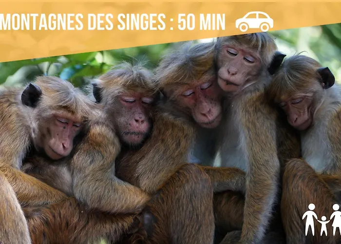 Cathyvoyages - Ciel Etoile - Bord De - Parking Gratuit - Videoprojecteur - Lit Rond - La Paillote Strasbourgeoise Apartment