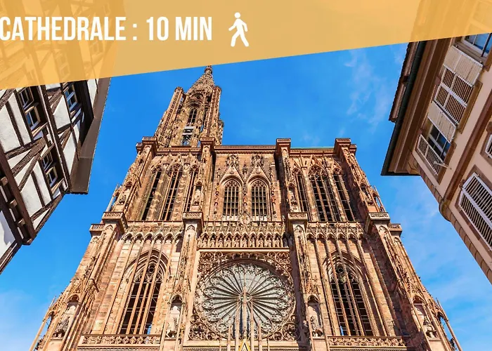 Cathyvoyages - Ciel Etoile - Bord De - Parking Gratuit - Videoprojecteur - Lit Rond - La Paillote Strasbourgeoise Apartment Straßburg