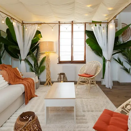 דירה Cathyvoyages - Ciel Etoile - Bord De - Parking Gratuit - Videoprojecteur - Lit Rond - La Paillote Strasbourgeoise