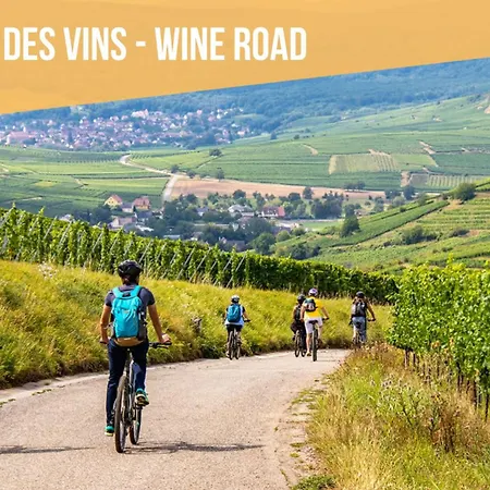 Cathyvoyages - Ciel Etoile - Bord De - Parking Gratuit - Videoprojecteur - Lit Rond - La Paillote Strasbourgeoise *