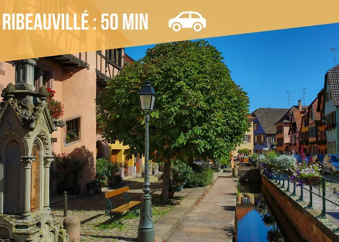 Cathyvoyages - Ciel Etoile - Bord De - Parking Gratuit - Videoprojecteur - Lit Rond - La Paillote Strasbourgeoise Appartement